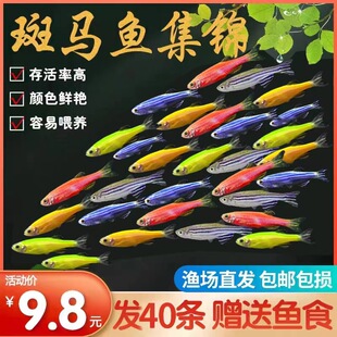 ���R�~�^�p�~С�͵�ˮ���B�Ꭷ�~���w�t�G�����~С��ȸ�~�~��