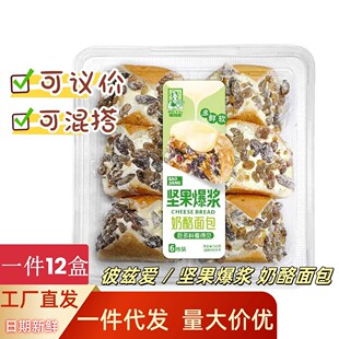 ��Ɲ�۱��{���������������Թ�����A��С����������������e