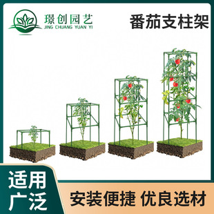 �S�����l���Ύ��Nֲ������֧���� �҃����߲˷Nֲ�� �������ټ�