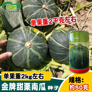ǧ�ս��������ϹϷN�� �������ζ����Ŵ�����ϹϷN�� �����÷N