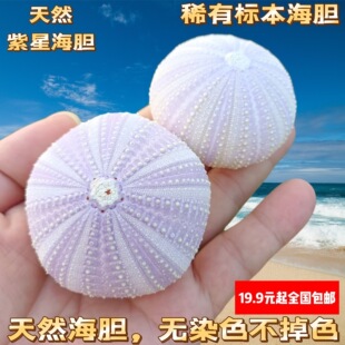 ����ؐ���Ϻ�đ  ��đ�� �����OӋ�b� DIY Ů�ѻ�c����Y��