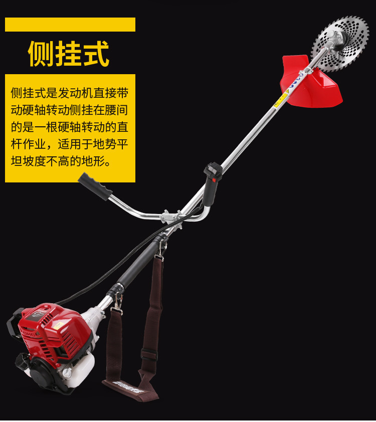 O1CN01NIN4921K1DcsCOhzX_!!2214