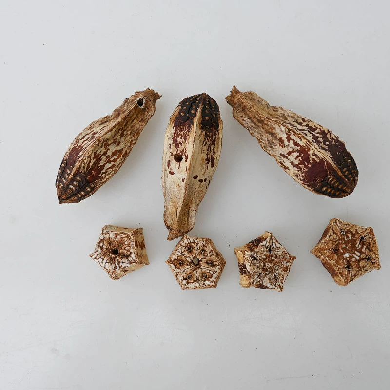 Принадлежности для птиц попугая натуральные фрукты кусать игрушки аксессуары производители оптом