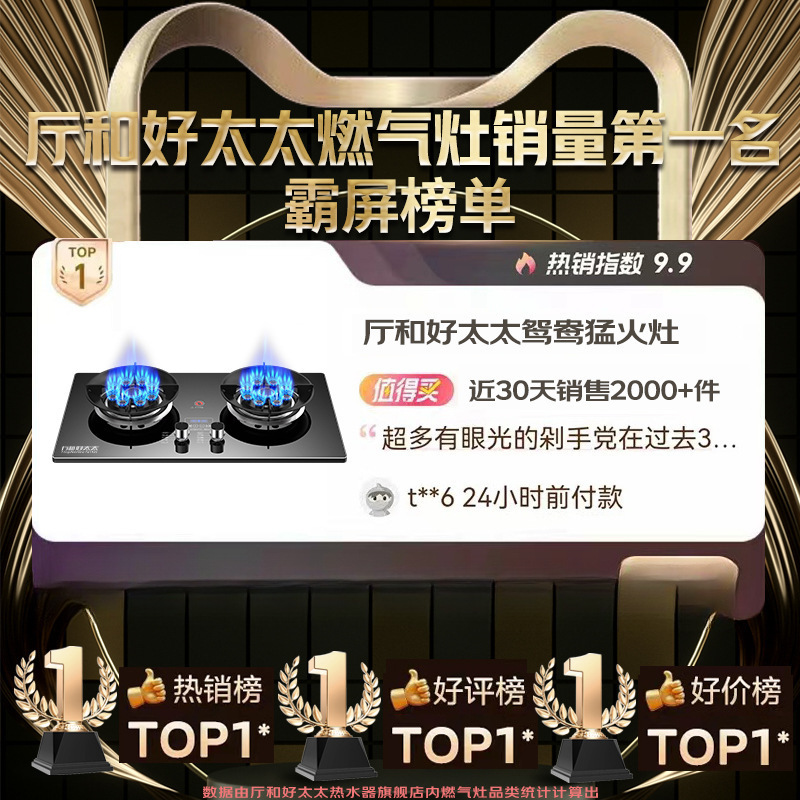 厅和好太太燃气灶煤气灶双灶家用天然气炉灶液化气炉具换新补贴|undefined