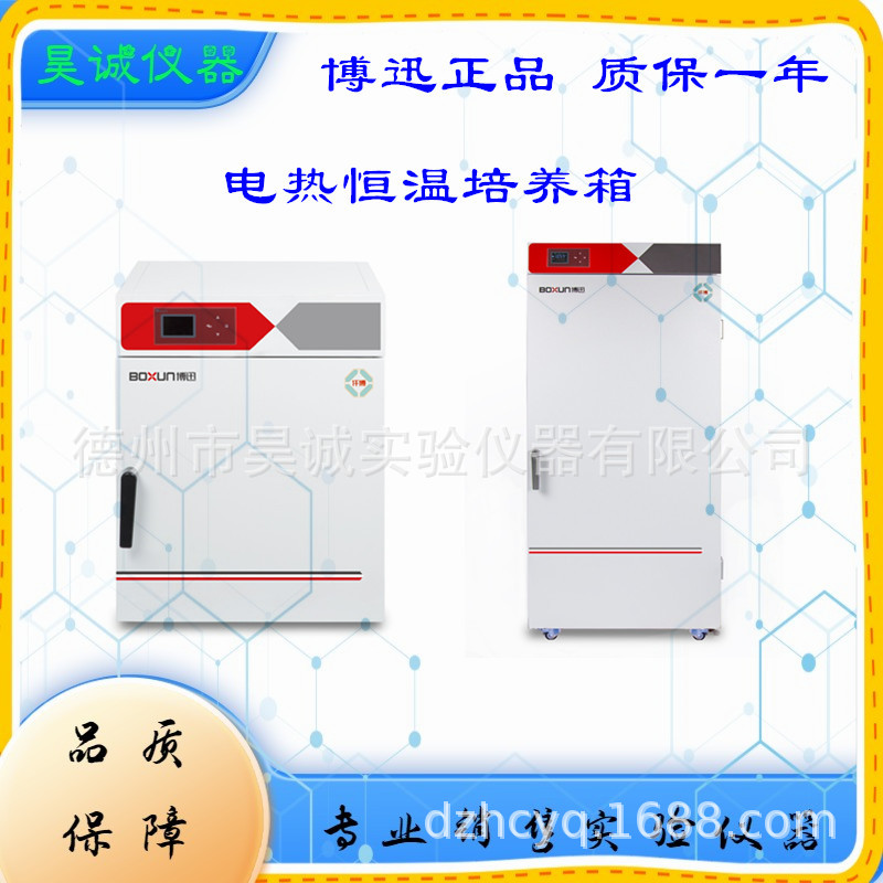 BXP-65电热恒温培养箱 BXP-130博迅BXP-210微生物培养箱种子