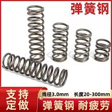 3.0���ɏ��ɏ����������S�p�����s����䓽z�Cе���ɏ����