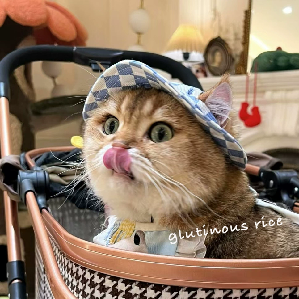 ✅ Весенне-летняя шляпа от солнца для кошек и собак с открытыми ушками, безволосый кошачий капюшон, шляпа рыбака для домашних животных в шахматном порядке, головной убор принцессы