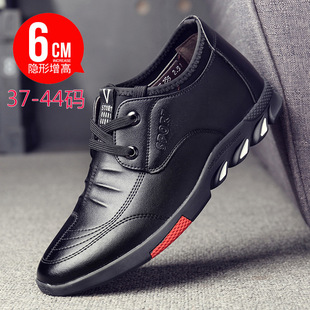 �����̄����e��������Ь6cm�n�泱���ٴ��\�����eƤЬ����Ь���l