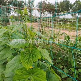 其他安全网;滤网;高尔夫配件