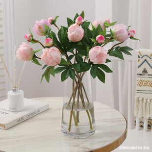 ���|��1��1����ș���滨 �ҾӲ͏d�b[���zӰ������ș�羳�ٻ�