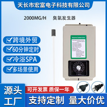 2000mg臭氧发生器水处理spa冷浴跨境外贸厂家批发石英管臭氧杀菌