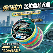 �����羳�����R�~������PE��4��300��·���hͶ�����������o�ܾ���