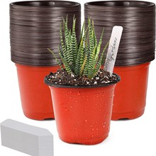 小号塑料植物育儿盆花盆植物幼苗花卉植物容器种子启动盆室内室外