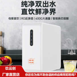 新品净水器家用直饮机 ro反渗透饮水机器600G自来水过滤器纯水机