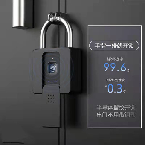 P616 wholesale fingerprint padlock outdoor waterproof and rust-proof home anti-theft door small head courtyard remote fingerprint password