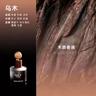 Car Perfume Aromatherapy High-End Hotel New Model - ebony-fragrant-and-long-lasting