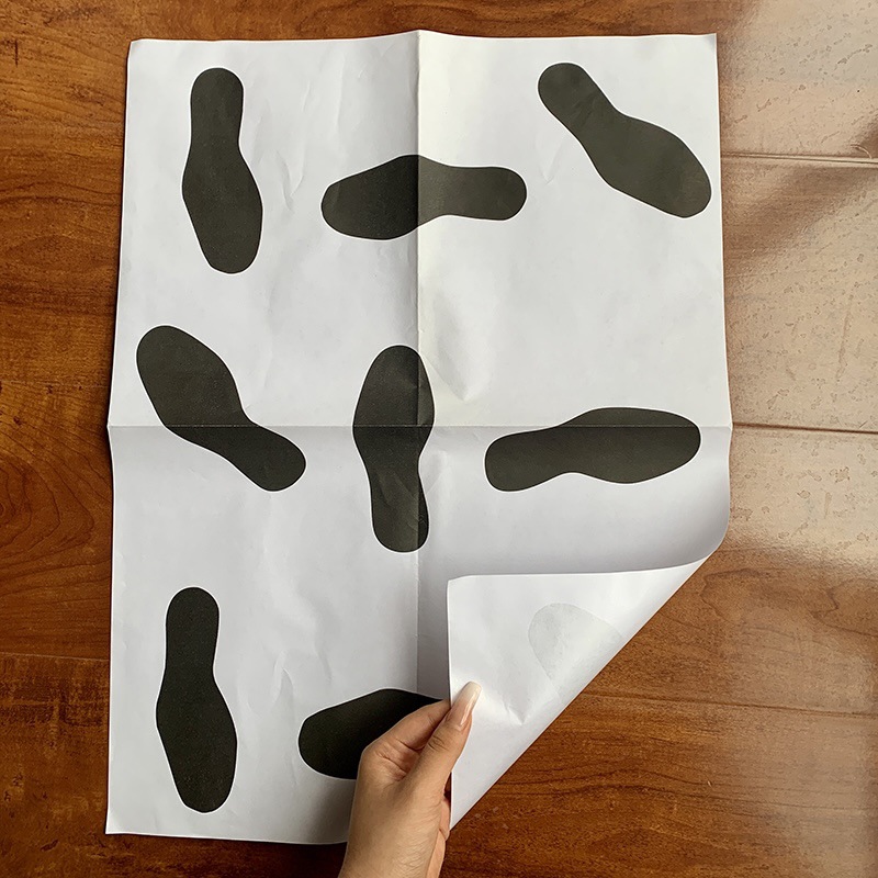 366617f597ce02ba4ec55ae5e15b1c