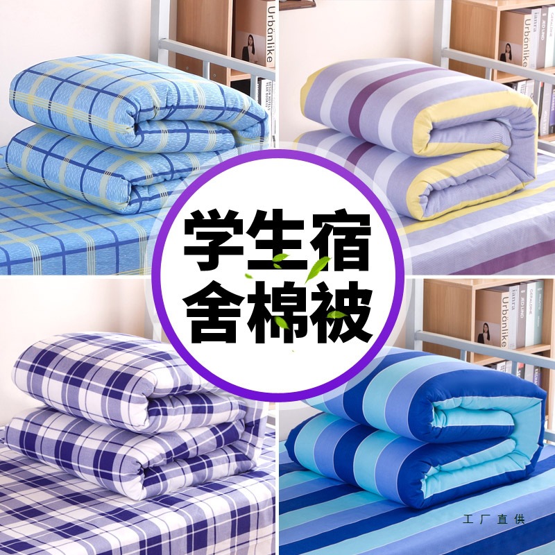 Student Dormitory Quilt Spring, Autumn and Winter Cotton Quilt Warm Single Bed Quilt Core Blue Plaid School Bunk Bed Quilt