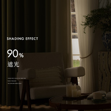 奢绒加厚雪尼尔竖条纹提花窗帘布别墅客厅卧室儿童房遮光窗帘E18