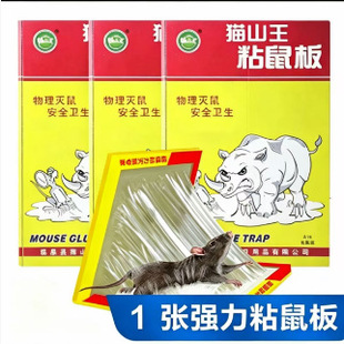 ����ճ��岶�������N�z��׽ץ������A��������մ�������һ�C��