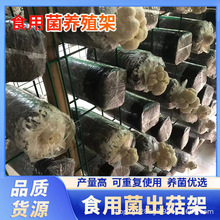 ����ƽ���Nֲ��Ģ���W�ܾ����Bֳ�ܾGɫ�F�z�W�����乽ʳ�þ��W��
