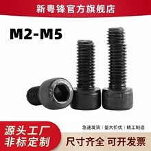 厂家直批12.9级合金钢高强度圆柱头内六角螺钉 杯头六角螺丝M2-M5