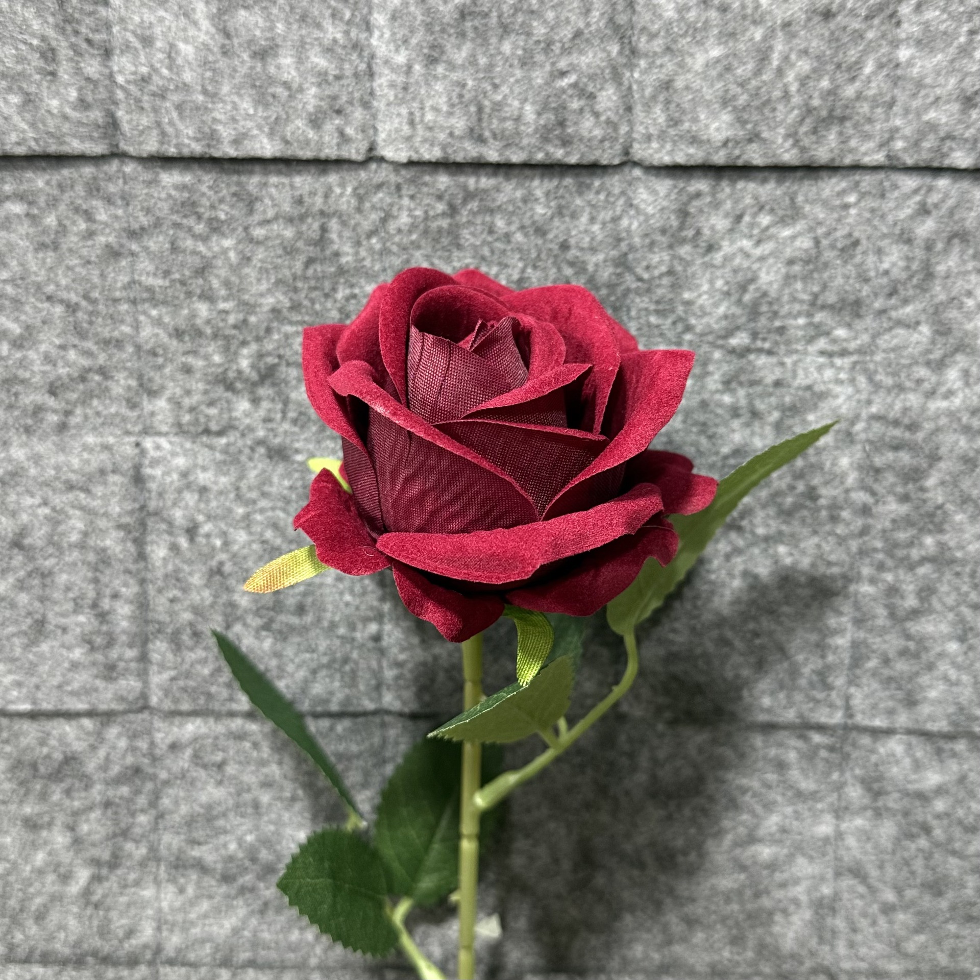 와인 레드