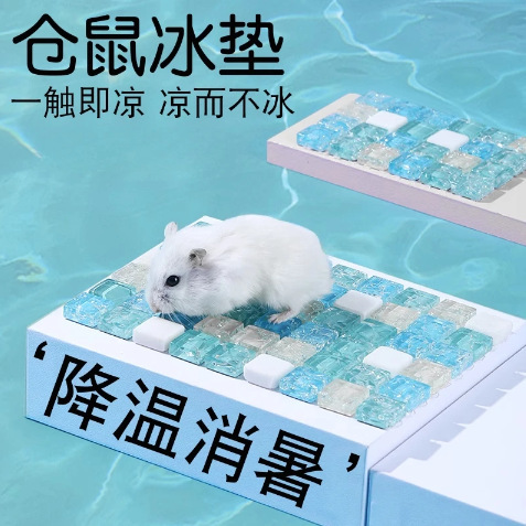 Hamster Cooling Pad Summer Cooling Mat Heat Relief Home Cooling Supplies Pet House Golden Hamster Rabbit Cooling Mat Ice Nest Hamster Cooling Pad Summer Cooling Mat Heat Relief Home Cooling Supplies Pet House Golden Hamster Rabbit Cooling Mat Ice Nest
