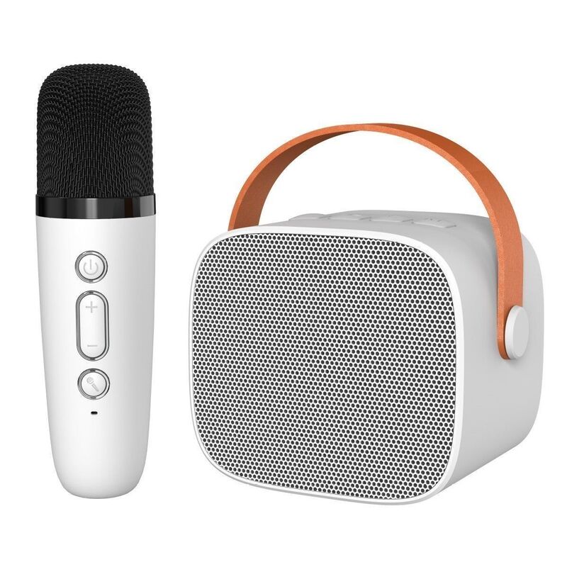 【特別保護】Amazon越境Bluetoothスピーカー カラオケスピーカー ワイヤレスマイク一体型 歌唱用|undefined