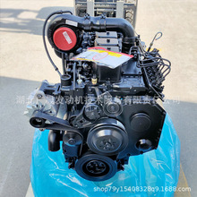 东风康明斯 6BT5.9-C 柴油发动机引擎