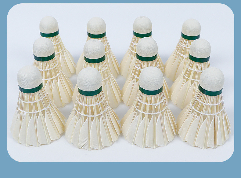 32a2d7fb-ce43-4edc-ac59-0a20dca4259a.jpe