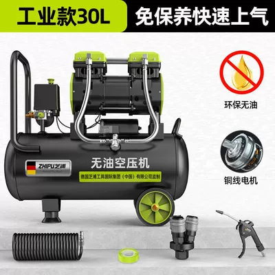 German Zhipu air compressor Hava kompressorları - 30l-industrial-model-blowing-dust-set