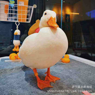 ���������w �W�t� ���С�S������w�\ݔ������Ó�ؼ��B����