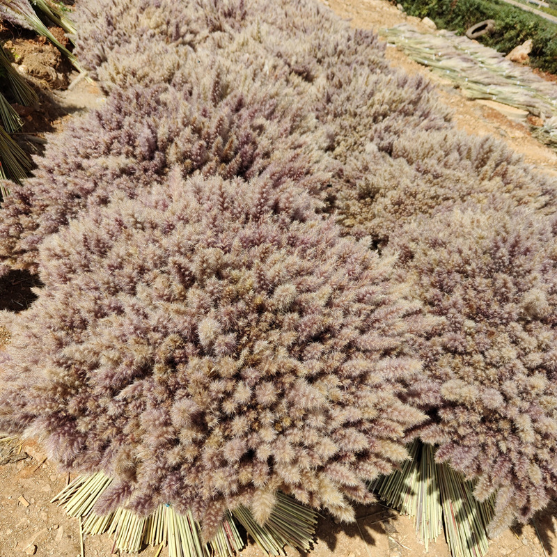 Pampas Grass Bouquet 7