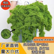 ����̦�\�b���̦�Gֲ�����Ƥ���^�辰ֲ�ﲼ�÷����쾰����ƺ