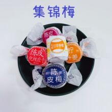 休闲零食 集锦梅独粒包装陈皮梅加应子蜜饯凉果 柠汁姜陈皮柠檬