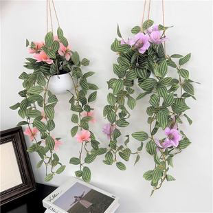 Real Hanging Orchid Hanging Flower Green Plant Real and Fake Flower Hanging Ornaments Floral Nordic Living Room Interior Decoration Set