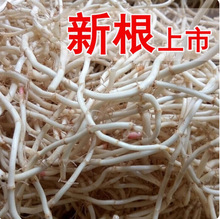 ���r�~�Ȳݸ� �F���۶��� ���蹝���� �r��Ұ�˻��ʳ�� һ�ݰ��]