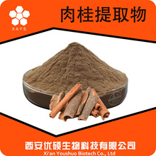 肉桂提取物另有肉桂多酚药食同源附第三方肉桂浸膏水溶肉桂浓缩粉