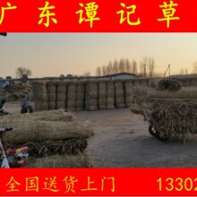 天津四川重庆批发出售冷库保温西瓜运输铺屋顶装饰用稻草帘禾秆草