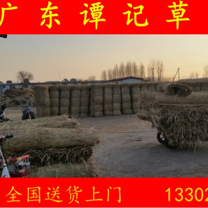 天津四川重庆批发出售冷库保温西瓜运输铺屋顶装饰用稻草帘禾秆草