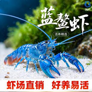 ���r�^�p�r��ˮ���B���r����ˮ�ͻ�t���{ɫС���r���B�Bֳ���r��