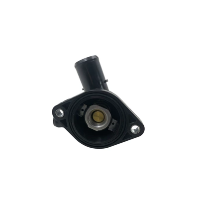 Thermostat for Toyota Lexus