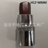 H12*55mm