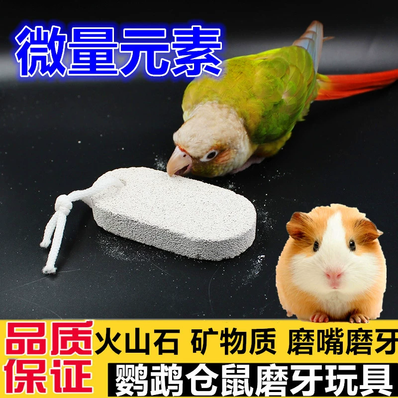 Попугай кальций молярный камень клетка для птиц декоративная кость каракатицы минеральная молярная строка молярный камень игрушка для укуса попугая