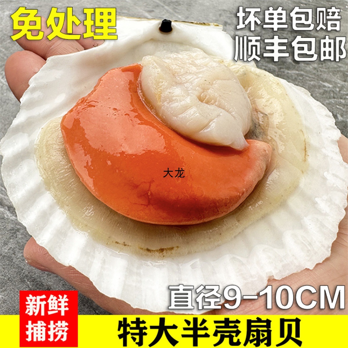 半壳冷冻扇贝鲜活夏夷贝新鲜蒜蓉粉丝烧烤海鲜扇贝肉商用包邮