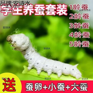 �Q���� �W���B�Q���b���w�Q���Q�N���Q���Q12345�g�����rɣ��̫��