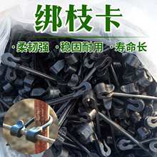 ���ѽ�֦���J���ҽ������� ��䓾����t�������ٿ������z���h�״�