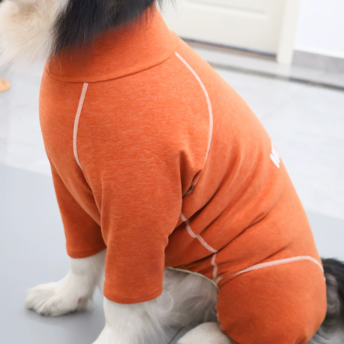 Cozy Comfort Серия собак осенняя и зимняя нижняя одежда