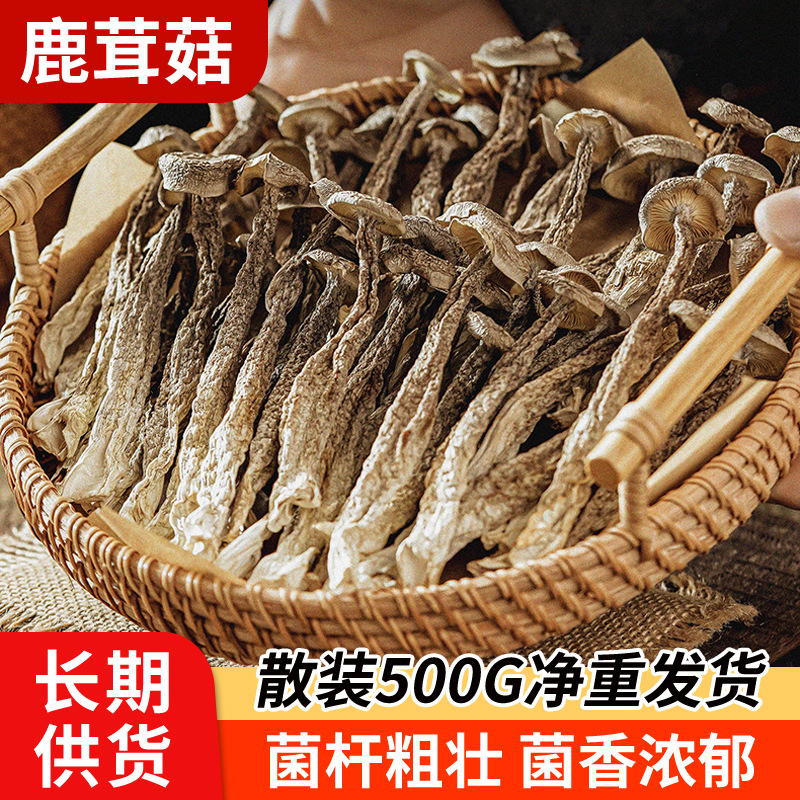 Fujian Gutian Special Deer Antler Mushroom Bulk 500g of Cold…